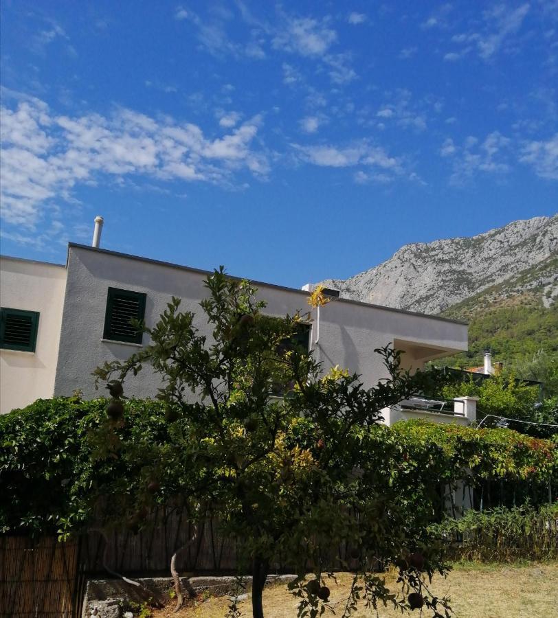 Apartmani Laguna Gradac  Buitenkant foto